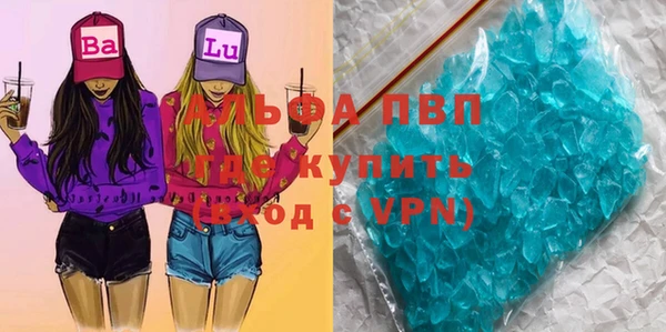 спайс Покачи